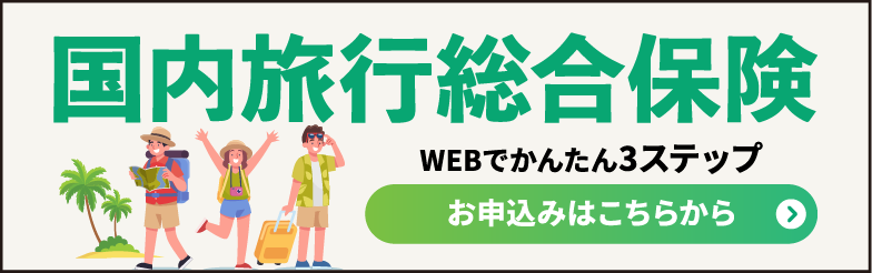 国内旅行総合保険